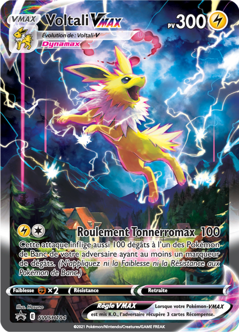 Coffret Premium Voltali Vmax Universe Cards
