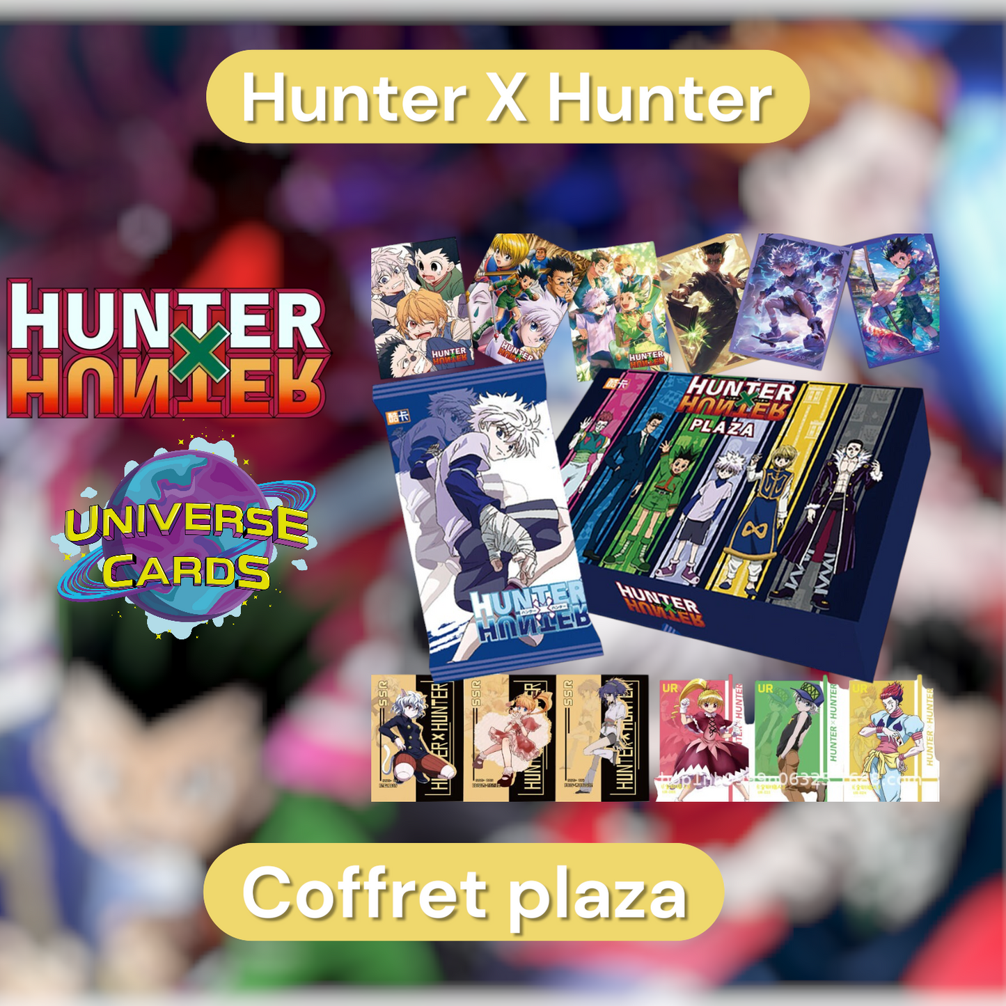 Coffret Hunter × Hunter Plaza