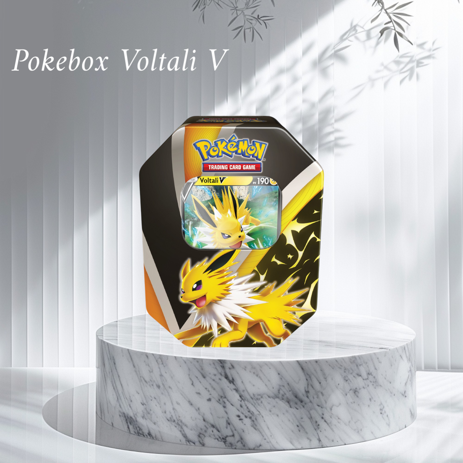 Pokebox Voltali V Universe Cards