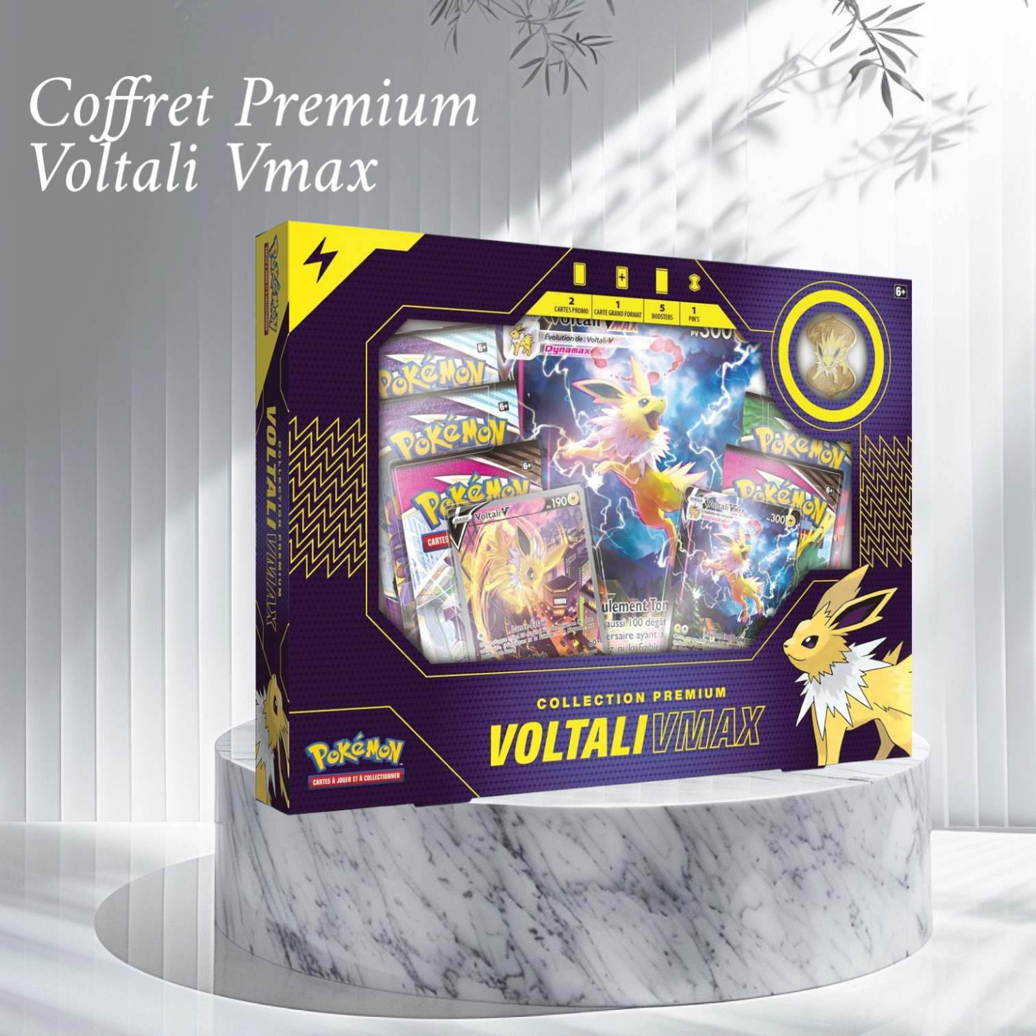 Coffret Premium Voltali Vmax Universe Cards