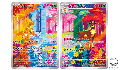 Cadre Acrylique - Deering & Sawsbuck (Cartes incluses) Universe Cards